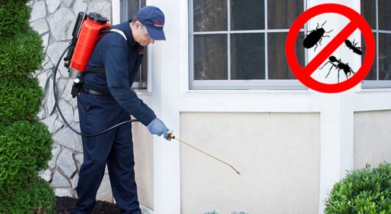 Konak Böcek ve Haşere İlaçlama böcek ilaçlama ve haşere kontrolü — ilaclama-tr.com